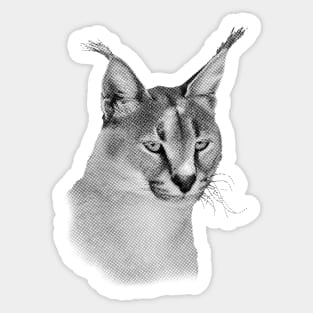 Caracal Wild Cat African Wildlife Sticker